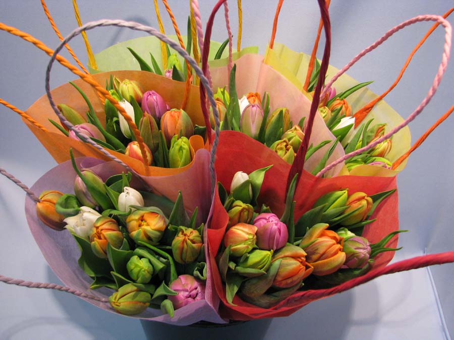 Harlekino double bouquet op 10