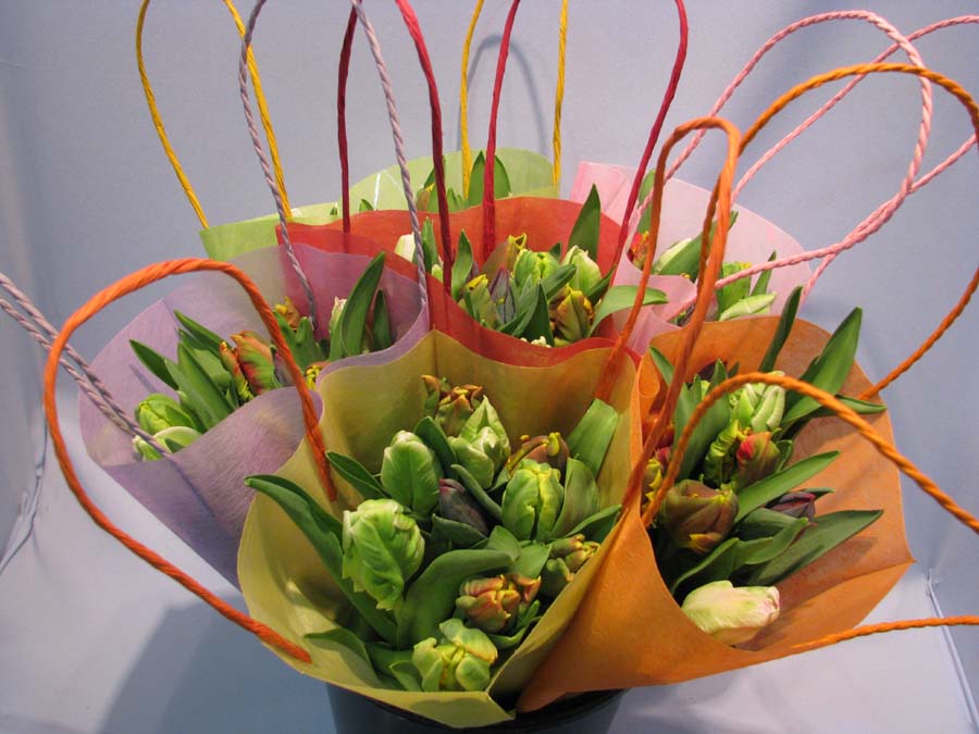 Harlekino parrot bouquet op 10