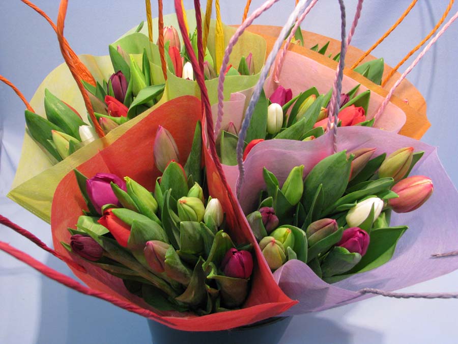 Harlekino single bouquet op 10