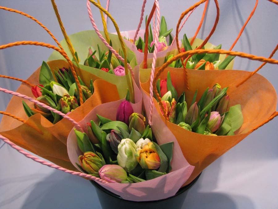 Harlekino special bouquet op 10